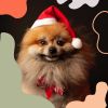 Download track Pulsating Ambience For Cute Dogs