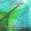 Download track Quiet Music, Pt. 1