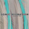 Download track Migration Of The Night Birds