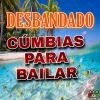 Download track Cumbia De Don Andres