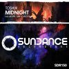 Download track Midnight (Aeden Remix)