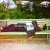 Download track Rapid Sleeping