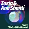 Download track Honey (Birds Of Mind Remix)