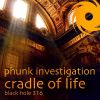 Download track Cradle Of Life (Blacktron Remix)