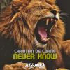 Download track Never Know (Instrumental Mix)