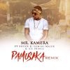 Download track Pamusika (Remix)