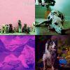 Download track Lively Ambiance For Dogs