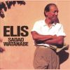 Download track Sadao Watanabe] Manhattan Paulista