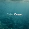 Download track Newfangle Ocean