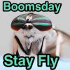 Download track Stay Fly
