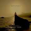 Download track Wishes