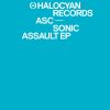 Download track Sonic Assault (Kangding Ray RMX)