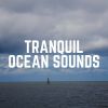 Download track Waves From The Pacific Ocean, Pt. 16