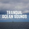 Download track Waves From The Pacific Ocean, Pt. 2