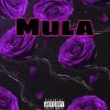 Download track Lil Mula