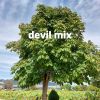 Download track Devil Mix