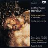 Download track 16. Recitativo: Darnach Bat Pilatum Joseph Von Arimathia