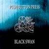 Download track Black Swan