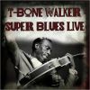 Download track Every Day I Have The Blues (Live)