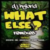 Download track What Else (Audiomission Remix)