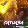 Download track Catuaba (Gloria Groove)