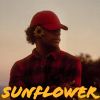 Download track Sunflower