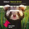 Download track Native Drive (Dj Borra Remix)