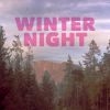 Download track Winternight