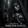 Download track Shelter Dog