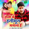 Download track Holi Me Honnymoon Manana Hai