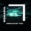 Download track Dream Of You