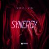 Download track Synergy