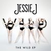 Download track Wild (Instrumental)