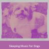 Download track Fun Ambience For Doggy Mental Health