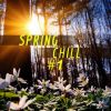 Download track Spring's Coming D - Chill Livin' Mix