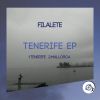 Download track Tenerife (Original Mix)