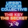 Download track The Key, The Secret (Armands Electro Mix)