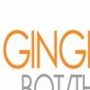 Download track Ginger Bot