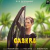 Download track Gabhru