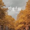 Download track 叶落无期 (Dj何友版伴奏)