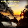 Download track A Warm Summer Breeze (2021 Recording)