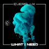 Download track What I Need (Radio Edit)