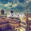 Download track Wonder