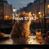 Download track Focus St Mk2