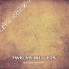 Download track Twelve Bullets - Sin Palabras