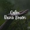 Download track Rain For Transcendental Meditation, Pt. 8