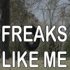 Download track Freaks Like Me - Tribute To Joe Nichols (Instrumental Version)