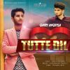 Download track Tutte Dil