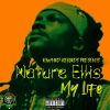 Download track My Life