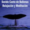 Download track Sonidos Binaurales De Ballenas